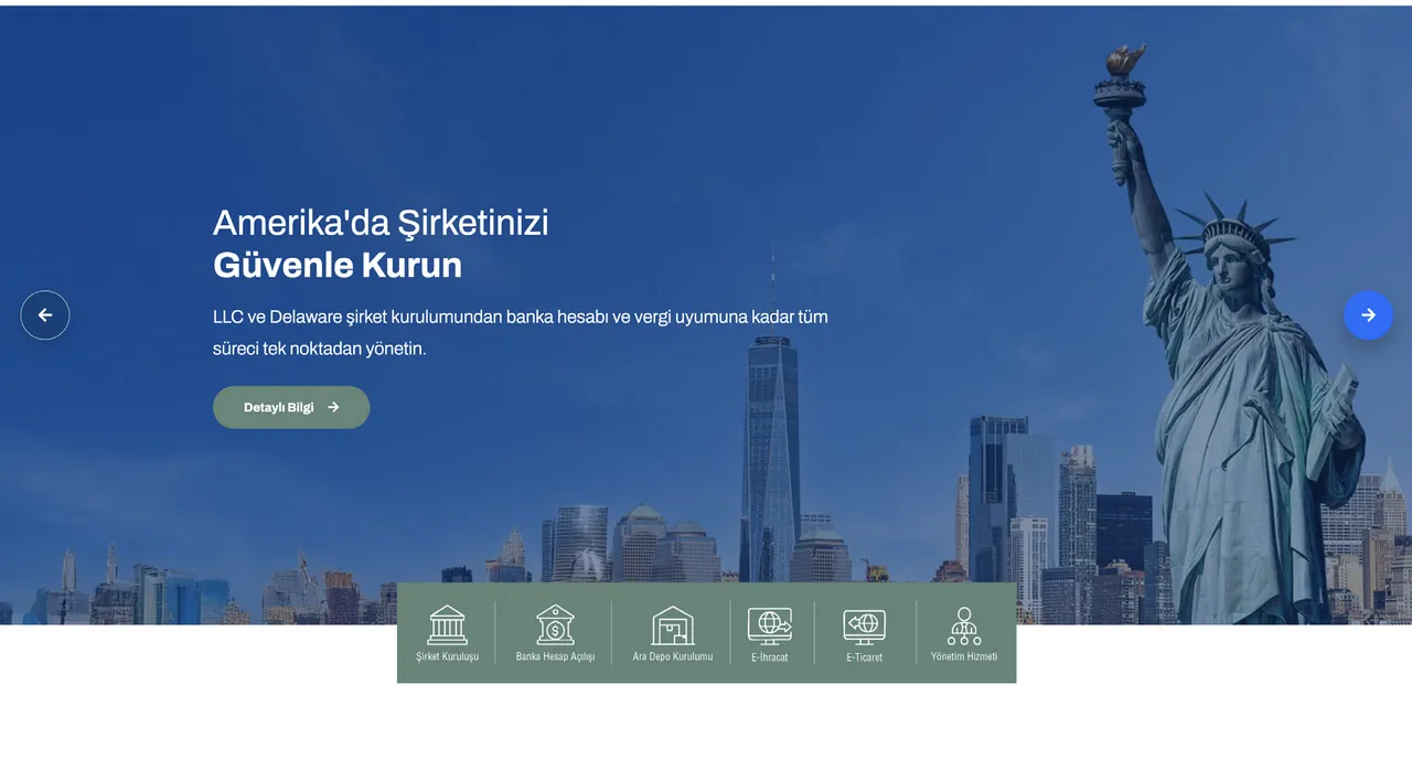 Global Tax Bridges web sitesi